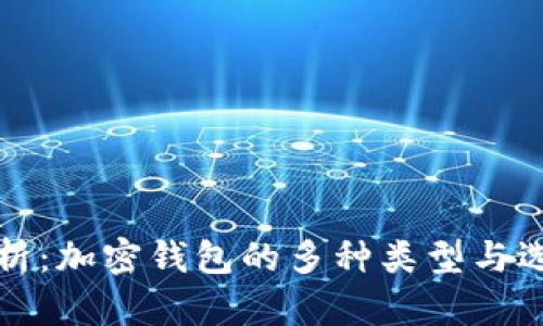 全面解析:加密钱包的多种类型与选择指南