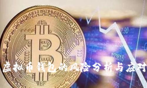 下载虚拟币钱包的风险分析与应对策略