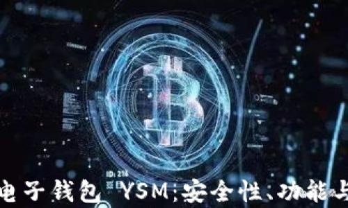 
全面解析电子钱包 YSM：安全性、功能与未来趋势