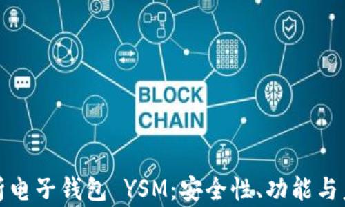 
全面解析电子钱包 YSM：安全性、功能与未来趋势