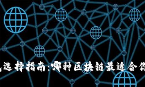 加密钱包选择指南:哪种区块链最适合你的需求?