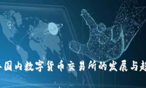 2023年国内数字货币交易所的发展与趋势解析