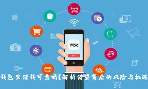 钱包里借钱可靠吗?解析借贷背后的风险与机遇