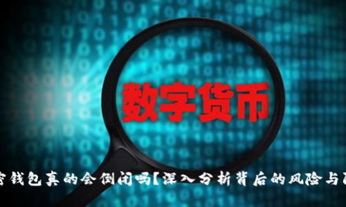 加密钱包真的会倒闭吗?深入分析背后的风险与防范