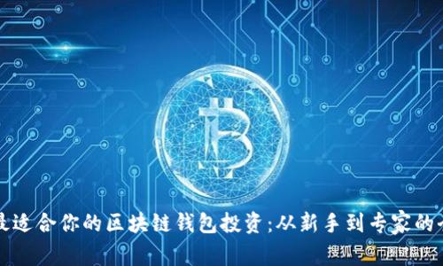 如何选择最适合你的区块链钱包投资:从新手到专家的全方位指南