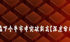 狗狗币能否在下个牛市中