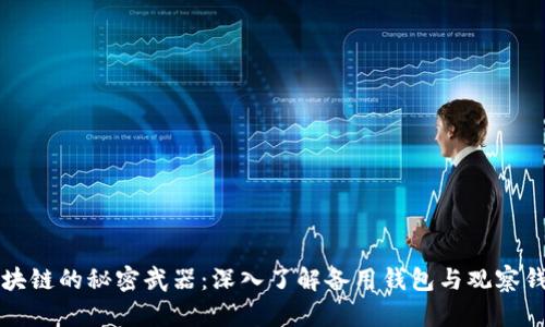 区块链的秘密武器:深入了解备用钱包与观察钱包
