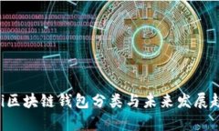 bizaioti区块链钱包分类与未