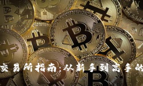 数字货币交易所指南:从新手到高手的投资之路