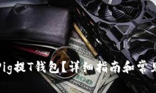 如何使用Pig提T钱包?详细指南和常见问题解答