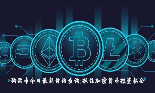 狗狗币今日最新价格查询：抓住加密货币投资机会