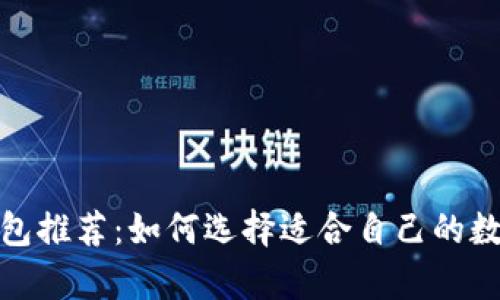 安全的区块链钱包推荐:如何选择适合自己的数字资产存储方案