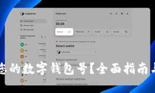 如何查找您的数字钱包号?全面指南与实用方法