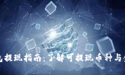 虚拟钱包提现指南:了解可提现币种与金额限制
