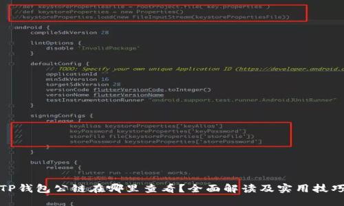 TP钱包公链在哪里查看?全面解读及实用技巧