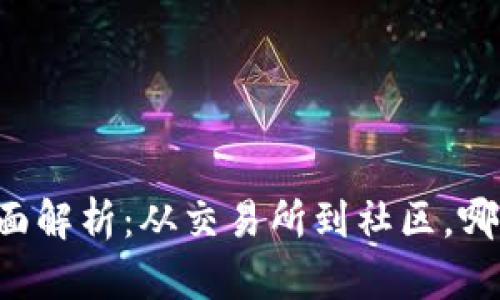 币圈交流平台全面解析:从交易所到社区,哪个才是你的选择?