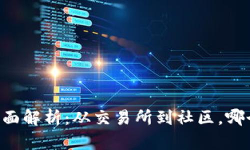 币圈交流平台全面解析:从交易所到社区,哪个才是你的选择?