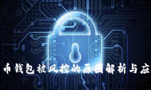 数字货币钱包被风控的原因解析与应对策略