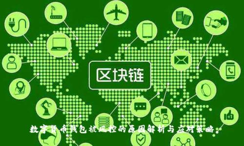 数字货币钱包被风控的原因解析与应对策略