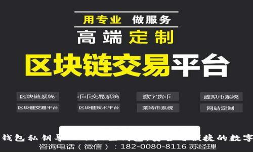 如何将TP钱包私钥导入小狐狸钱包：安全与便捷的数字资产管理