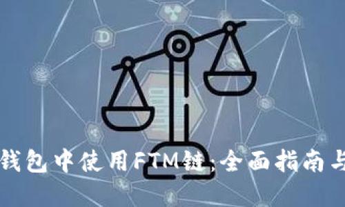 如何在TP钱包中使用FTM链:全面指南与实用技巧