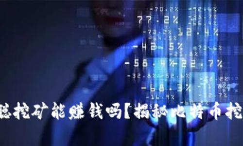 2023年中本聪挖矿能赚钱吗?揭秘比特币挖矿的经济真相