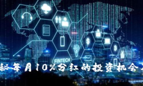 TP钱包:揭秘每月10%分红的投资机会及风险分析