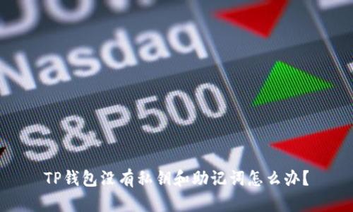 TP钱包没有私钥和助记词怎么办？