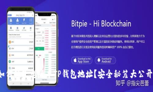 如何修改老版本TP钱包地址？安全秘笈大公开！