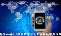 TP钱包真的安全？揭秘数字