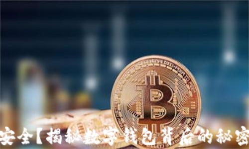 
TP钱包真的安全？揭秘数字钱包背后的秘密与诈骗风险