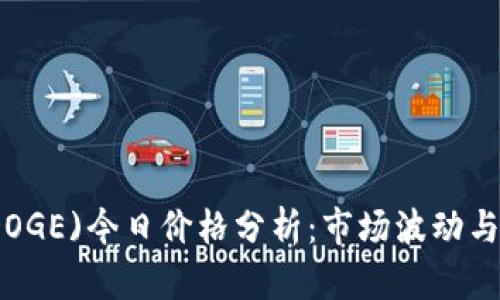 狗狗币(DOGE)今日价格分析:市场波动与未来趋势