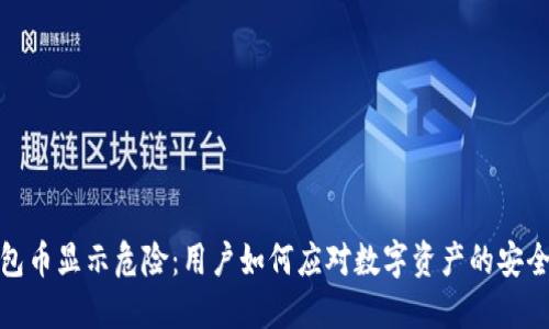 TP钱包币显示危险:用户如何应对数字资产的安全风险