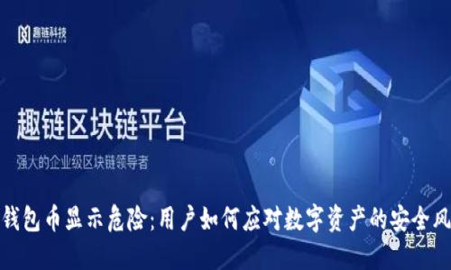 TP钱包币显示危险:用户如何应对数字资产的安全风险