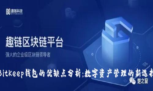 BitKeep钱包的优缺点分析:数字资产管理的新选择