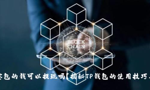 TP钱包观察包的钱可以提现吗?揭秘TP钱包的使用技巧与注意事项