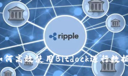 深入解析：如何高效使用Bitdock进行数据存储与管理
