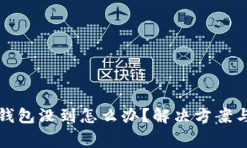 提币到TP钱包没到怎么办？解决方案与注意事项