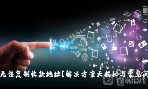 TP钱包无法复制收款地址？解决方案大揭秘与常见问题解析