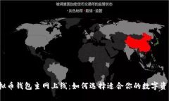 2023年虚拟币钱包主网上线
