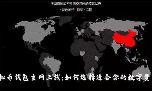 2023年虚拟币钱包主网上线:如何选择适合你的数字资产管理方案