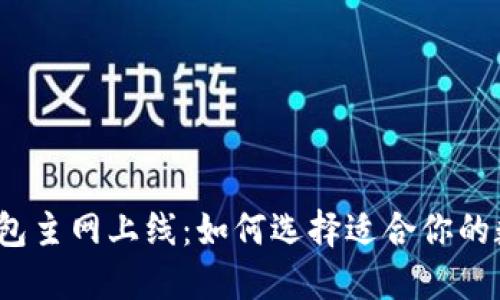 2023年虚拟币钱包主网上线:如何选择适合你的数字资产管理方案