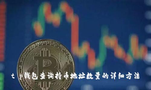 t p钱包查询持币地址数量的详细方法