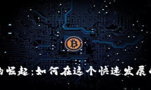 数字货币交易所的崛起：如何在这个快速发展的市场中获得成功