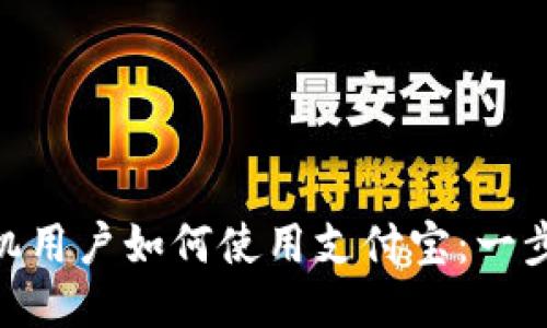808手机用户如何使用支付宝：一步步攻略