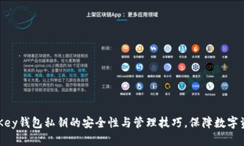 探索MyKey钱包私钥的安全性与管理技巧，保障数字资产安全