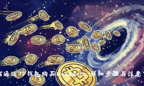 如何通过TP钱包购买Dogecoin：详细步骤与注意事项