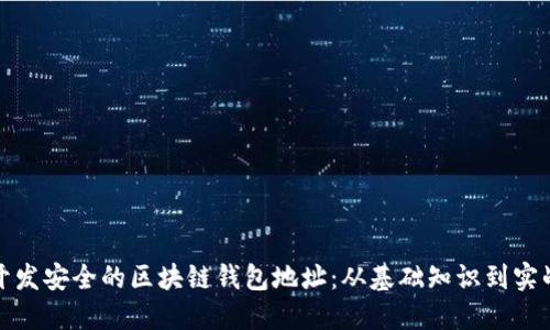 如何开发安全的区块链钱包地址：从基础知识到实战技巧
