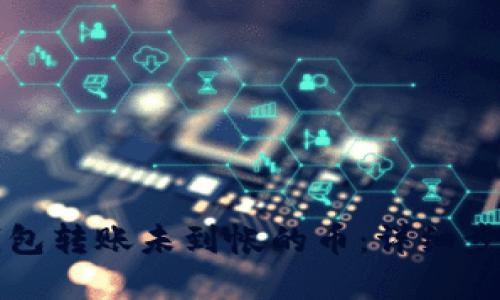 如何查询TP钱包转账未到帐的币：详细步骤与实用技巧