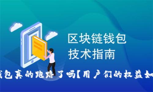 GoPay钱包真的跑路了吗？用户们的权益如何保障？